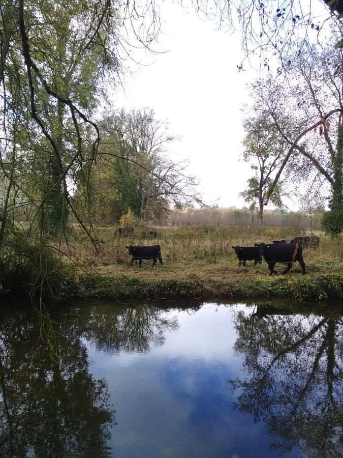 gîte rivière peyrona parc visite zoo beauval et châteaux de Loire Beaulieu-lès-Loches Extérieur photo